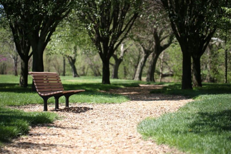 Walk in the park